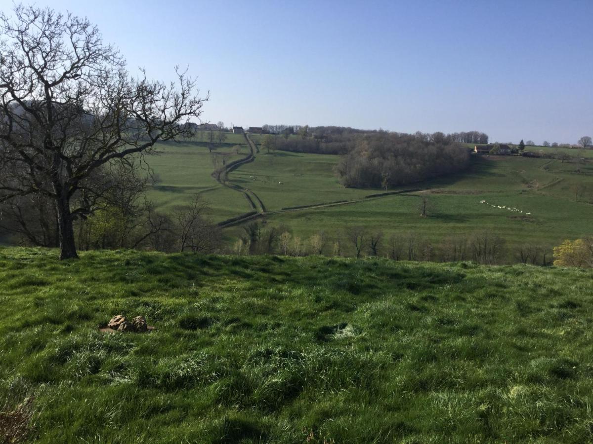Gite De Belle Vue Semur-en-Brionnais エクステリア 写真