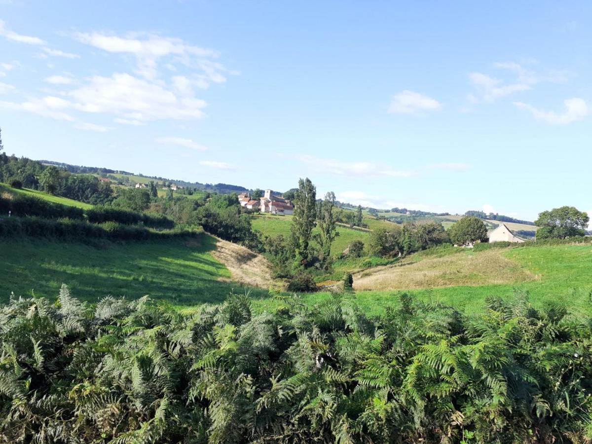 Gite De Belle Vue Semur-en-Brionnais エクステリア 写真