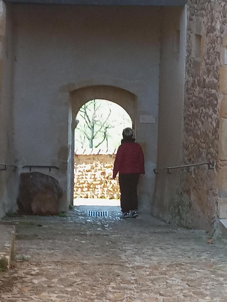 Gite De Belle Vue Semur-en-Brionnais エクステリア 写真